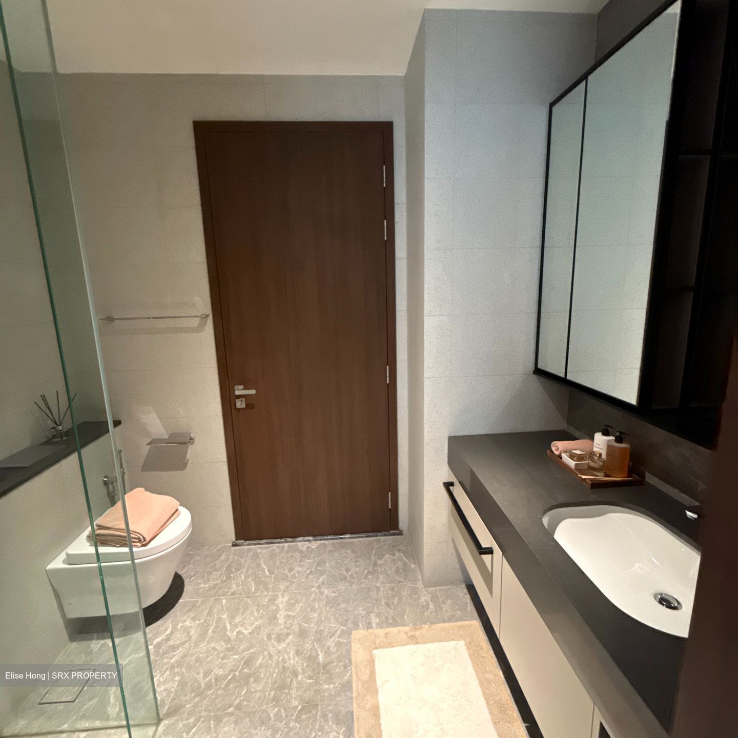 Parksuites (D10), Apartment #588430201